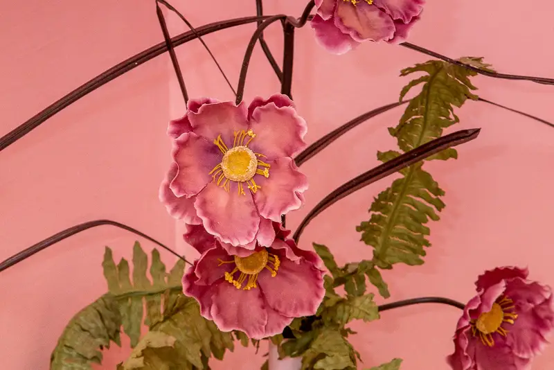 gallery_photo