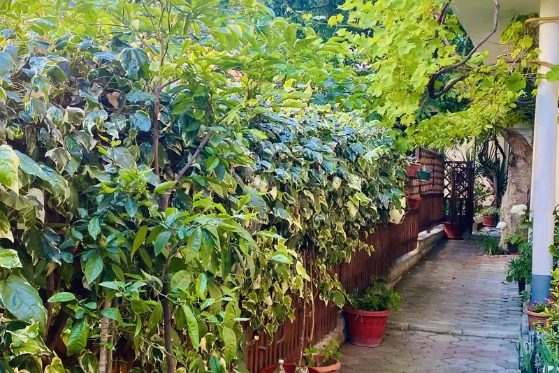 gallery_photo