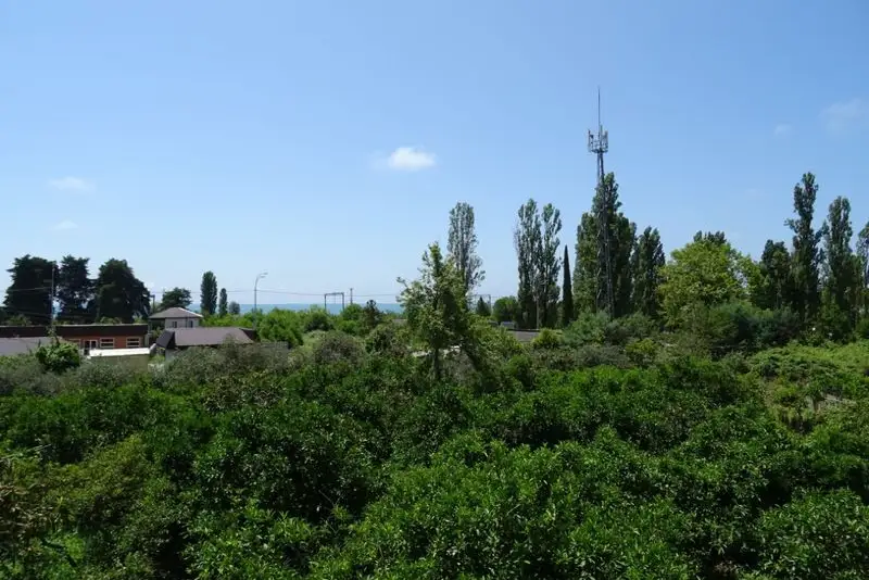 gallery_photo