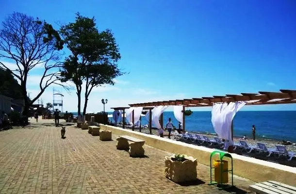 gallery_photo