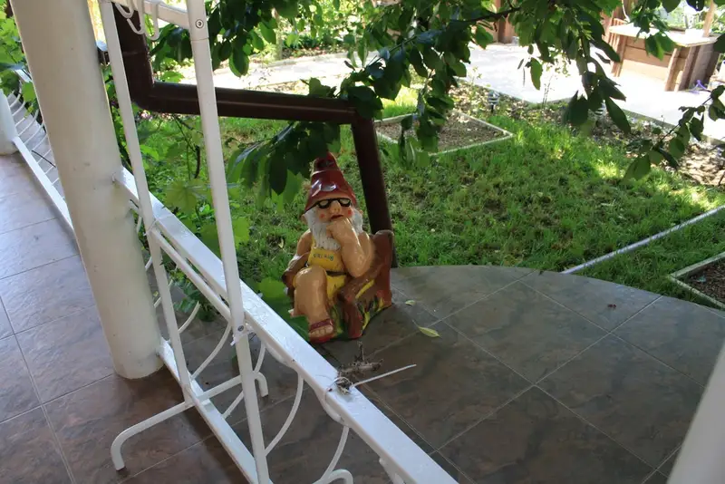 gallery_photo