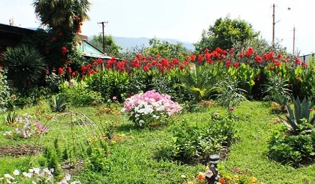 gallery_photo