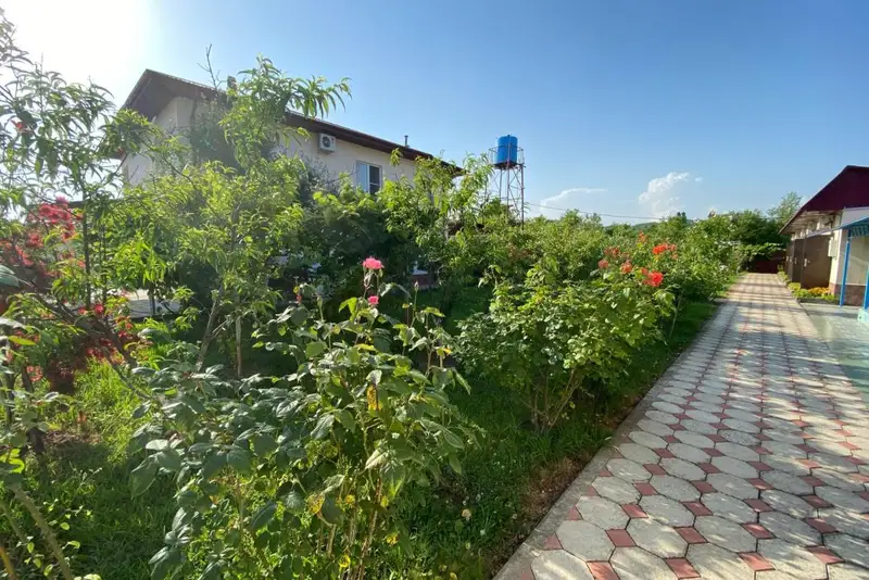 gallery_photo
