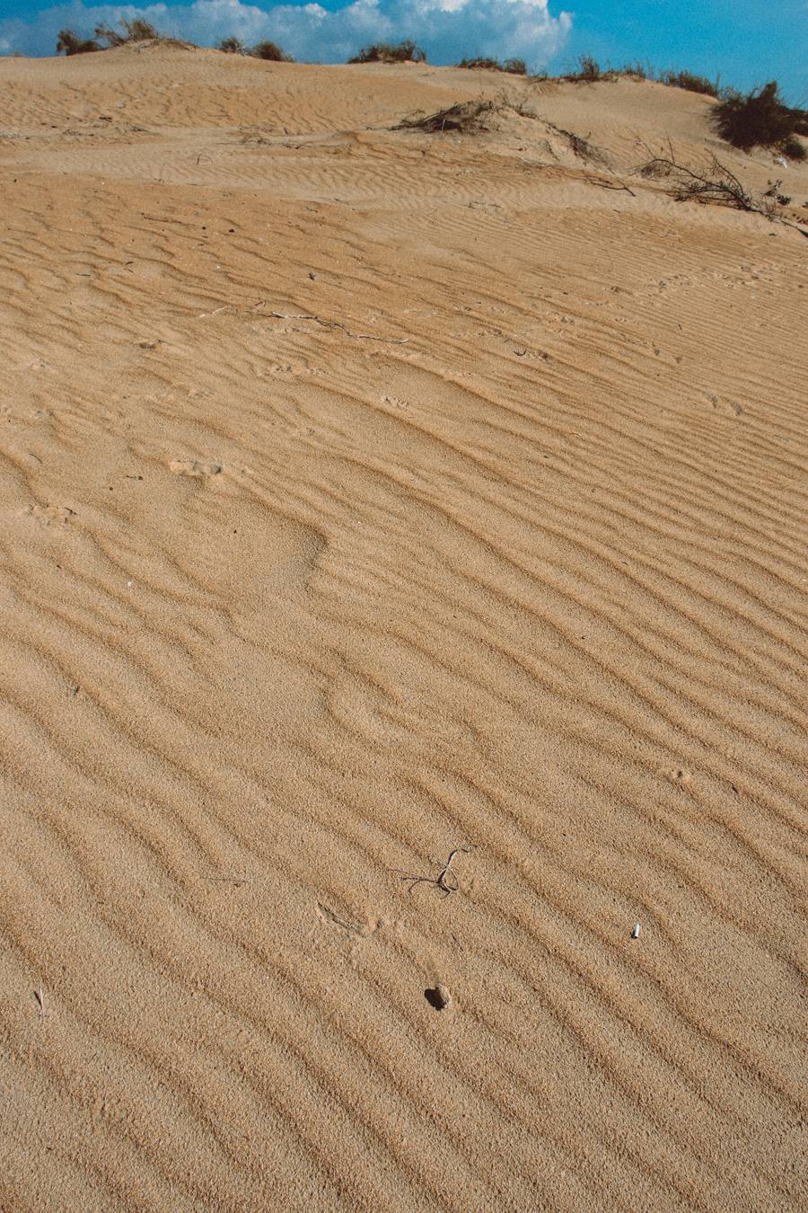 Песчаные дюны Джемете. Источник:&nbsp;unsplash.com