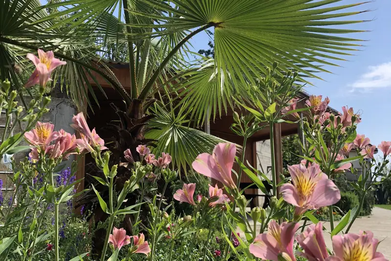 Гостевой дом «Lira Loo»