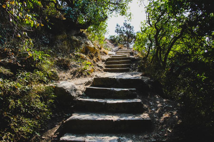 Шагайте по этой лестнице — и все болезни долой