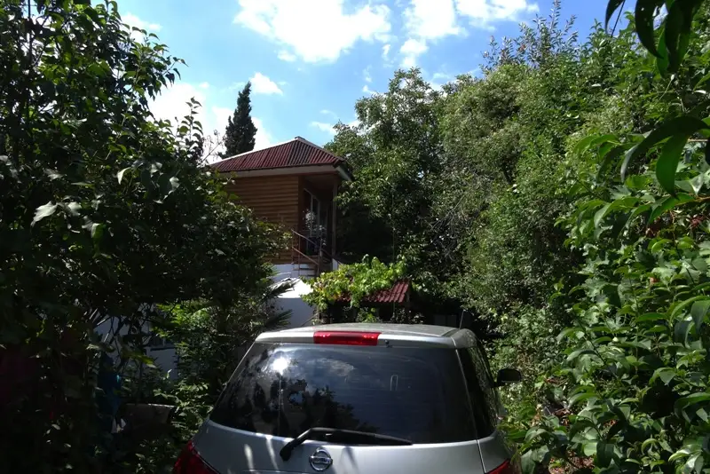 gallery_photo