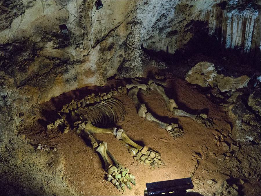Пещера Эмине-Баир-Хосар, или Мамонтова пещера. Фото: crimeaphile.livejournal.com