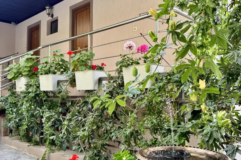 gallery_photo