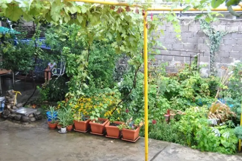 gallery_photo