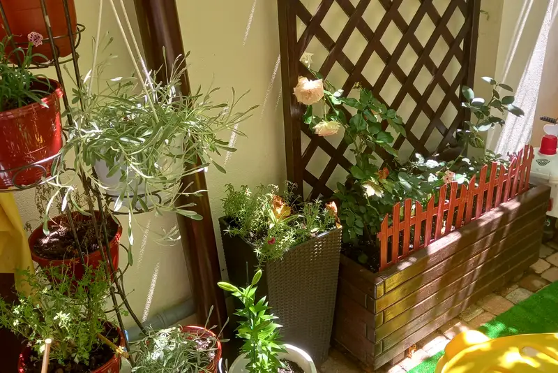 gallery_photo