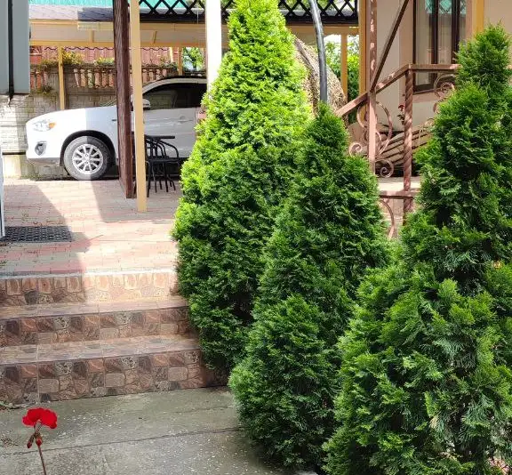 gallery_photo