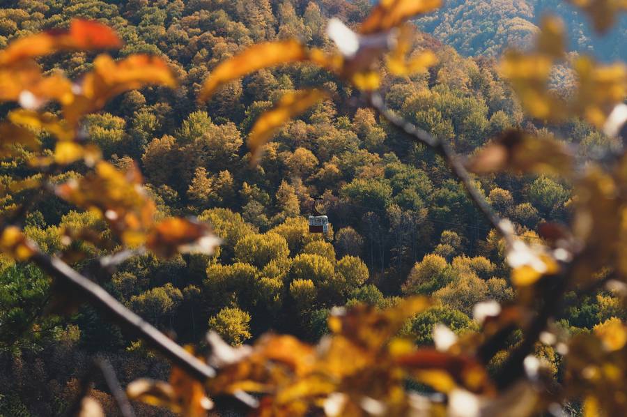 Природа Кисловодска осенью. Источник:&nbsp;unsplash.com