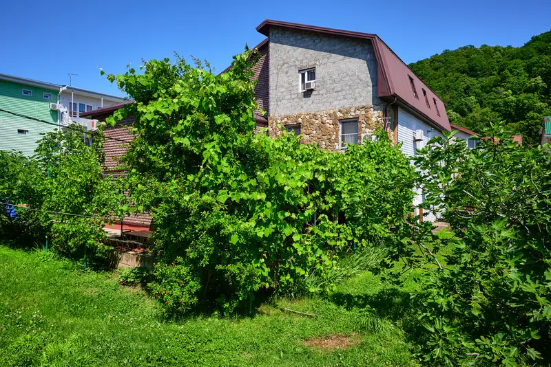 gallery_photo