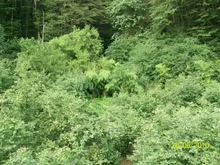 gallery_photo
