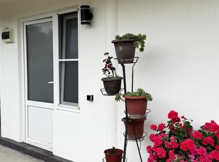 gallery_photo