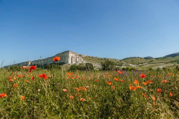В Крыму множество разных ландшафтов и, соответственно, климата. Источник: pexels.com