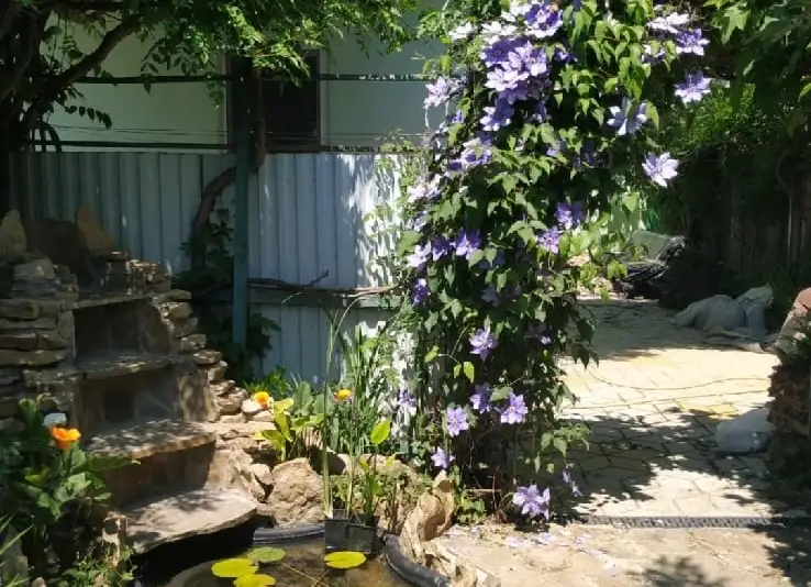gallery_photo