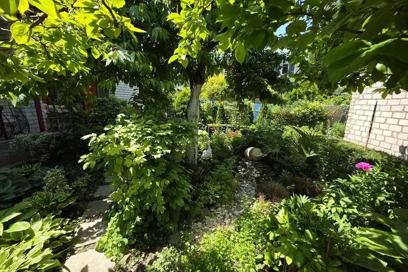 gallery_photo