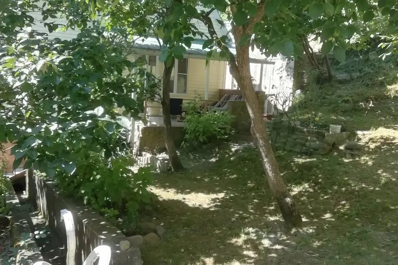 gallery_photo