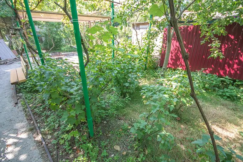 gallery_photo