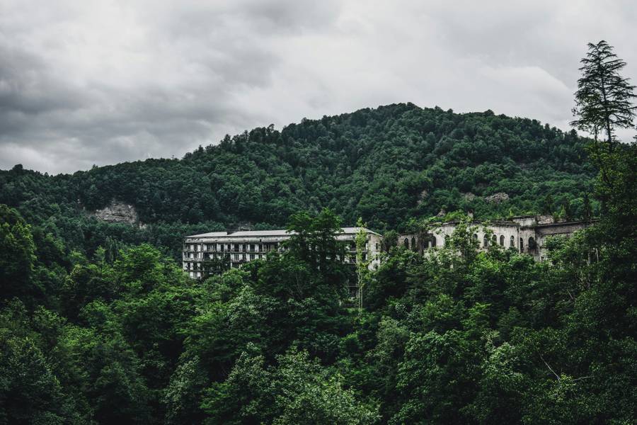 Одно из ущелий Ткварчельского района. Источник:&nbsp;unsplash.com