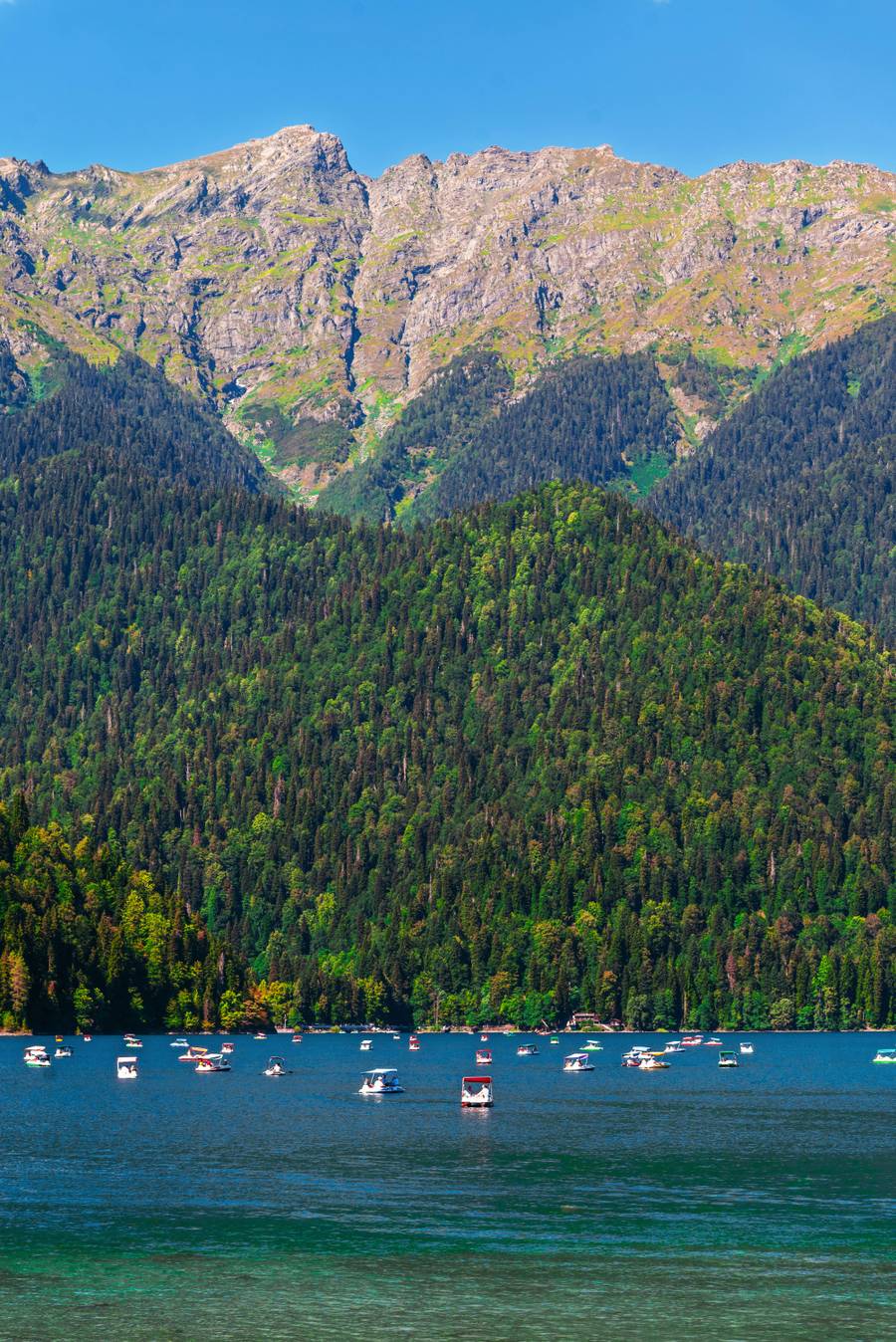 Красавица-Рица. Источник:&nbsp;pexels.com