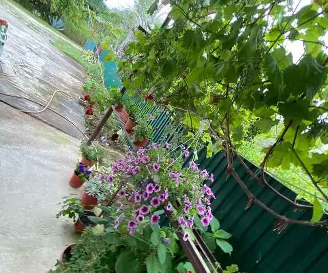 gallery_photo