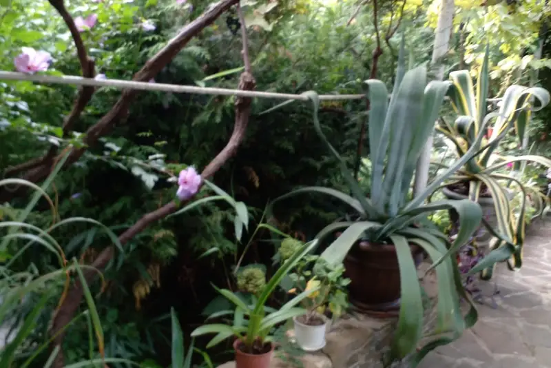gallery_photo