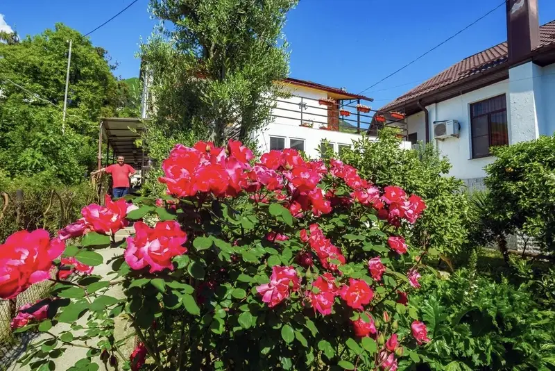 gallery_photo