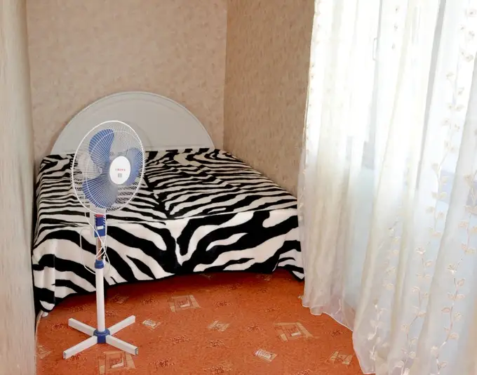 gallery_photo