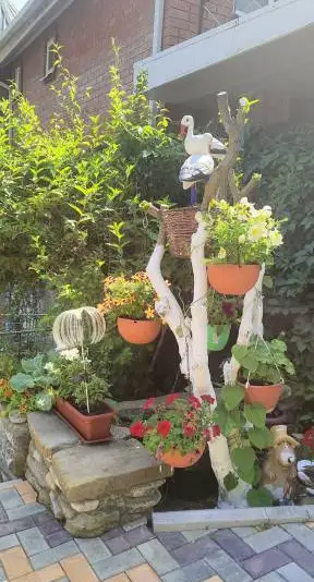 gallery_photo