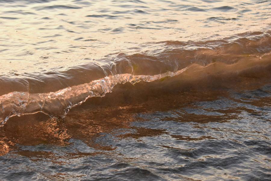 Веселовка славится чистейшей водой. Источник:&nbsp;unsplash.com