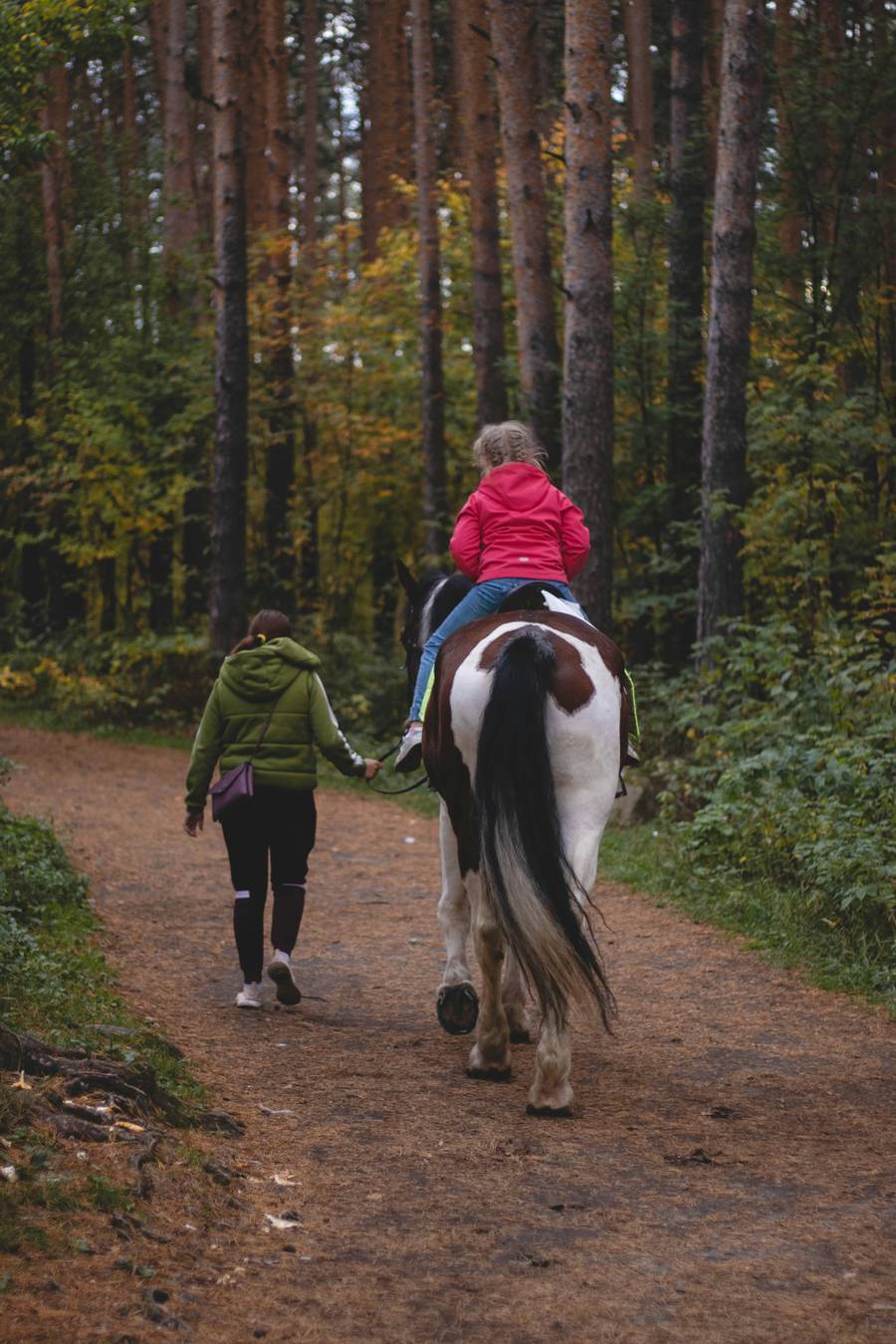 Катание на лошадках понравится и взрослым и детям. Источник:&nbsp;unsplash.com