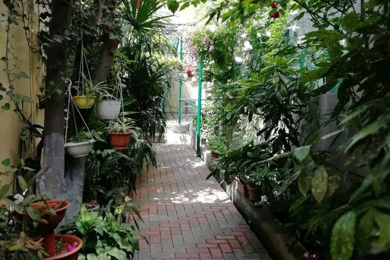 gallery_photo