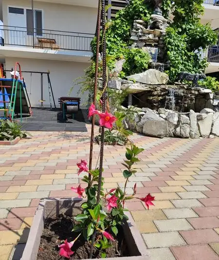 gallery_photo