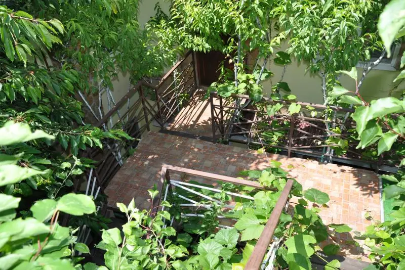 gallery_photo