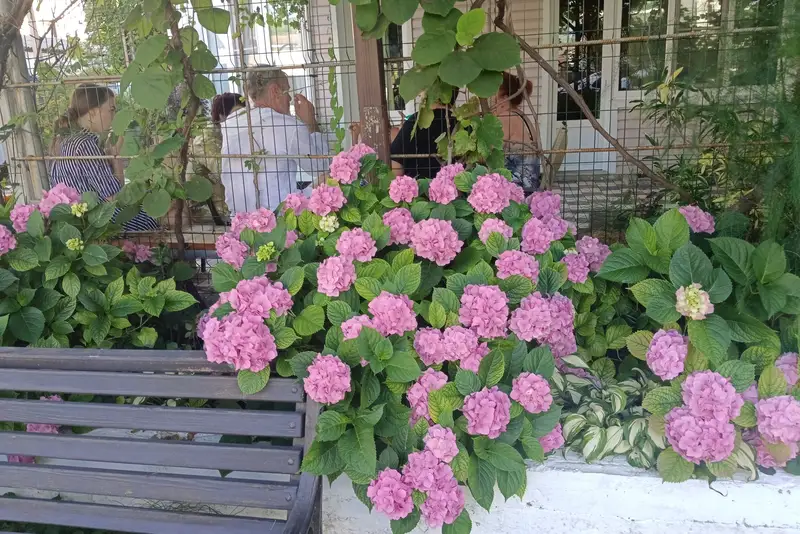 gallery_photo