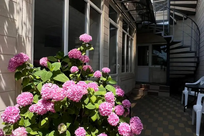 gallery_photo