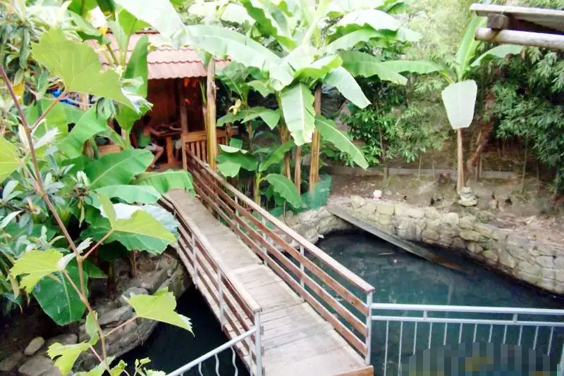 gallery_photo
