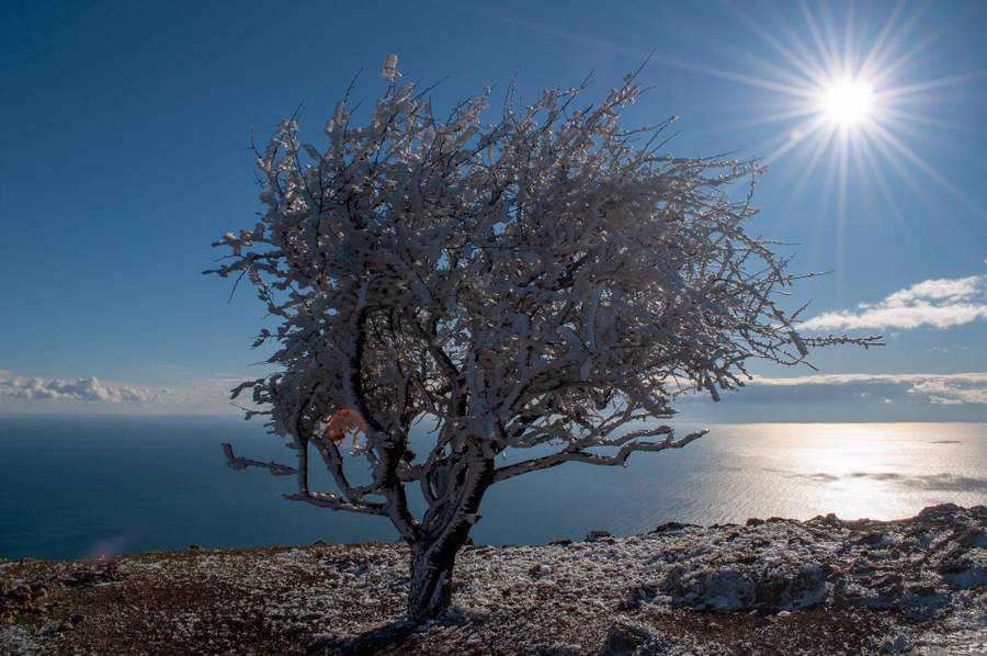 Солнце ярко светит в Крыму и летом и зимой. Фото:&nbsp;drive2.ru