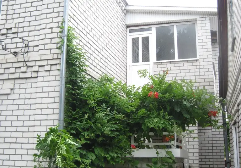 Гостевой дом " У Серафимы" ул. Куникова, д. 10