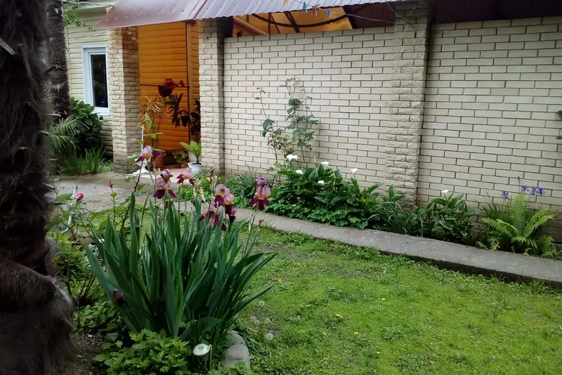 gallery_photo