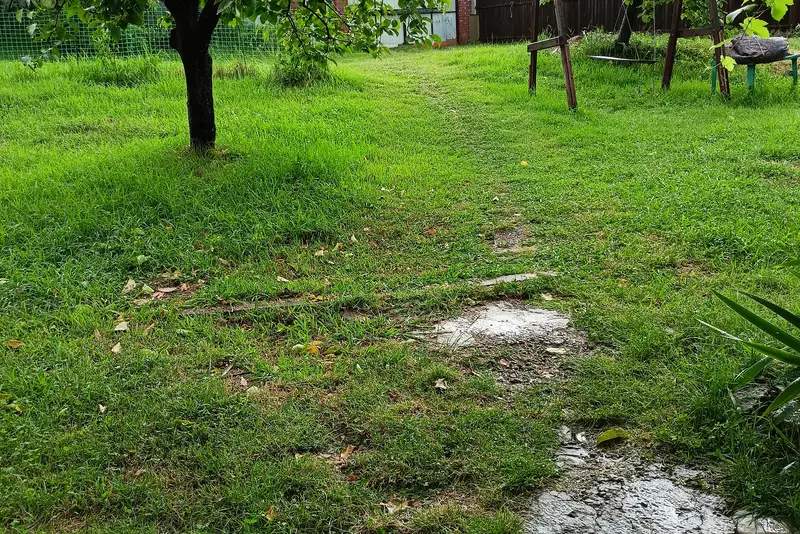 gallery_photo