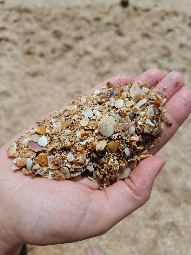 Песок на побережье Берегового. Источник: фотобанк Лори