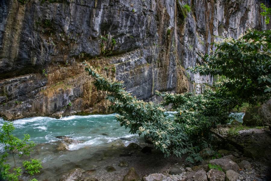 В Абхазии расположено множество живописных каньонов. Источник:&nbsp;unsplash.com