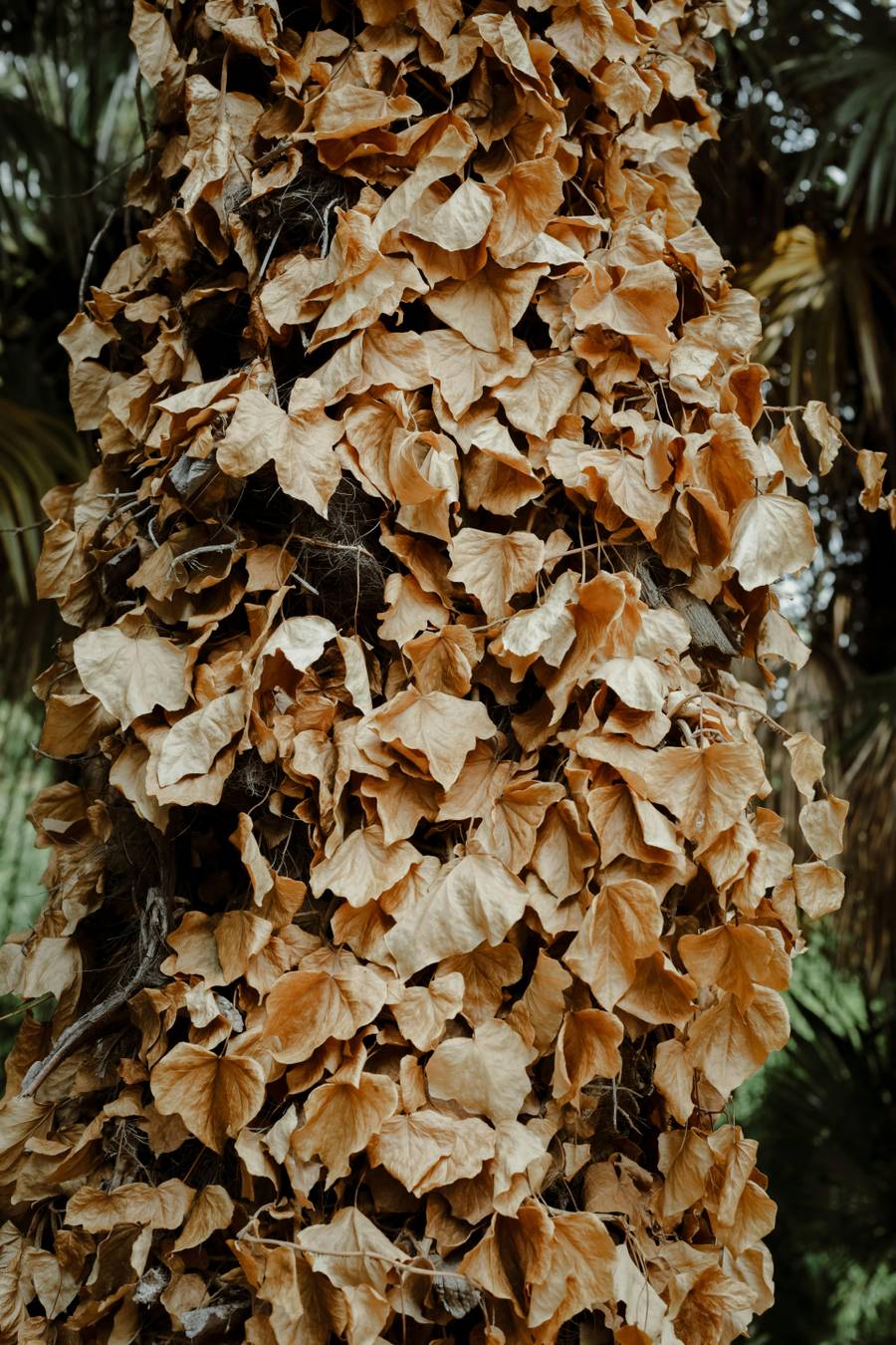 В окрестностях курорта много живописных мест. Источник:&nbsp;pexels.com