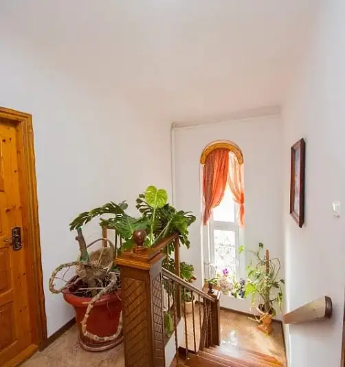 gallery_photo