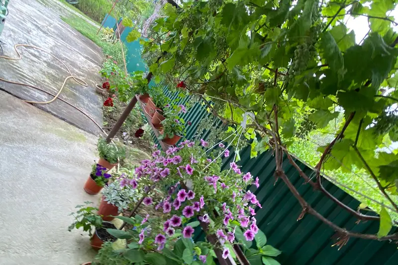 gallery_photo