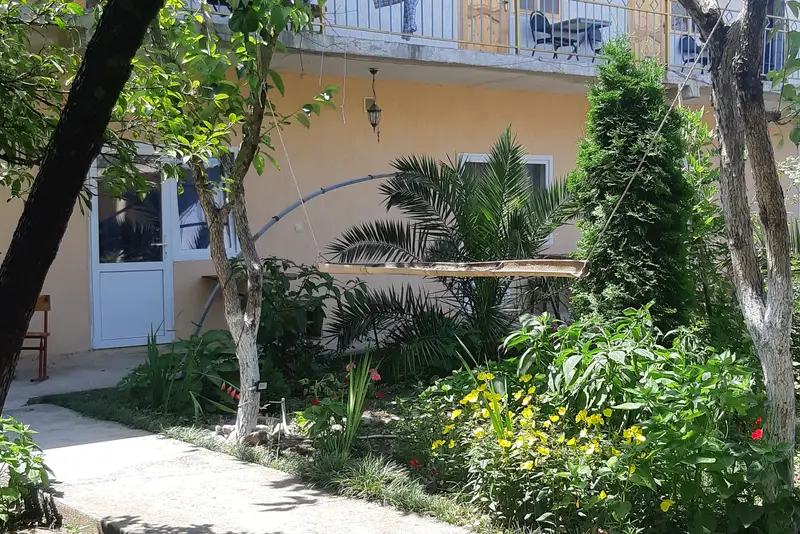Гостевой дом «Две пальмы», курорт Пицунда